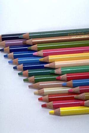 静岡と埼玉で展開するTOKAIモバイルショップの全貌と魅力について