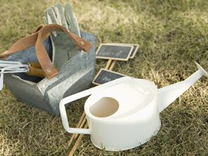 ガチャガチャの森：多彩なラインナップと魅力的な体験を提供するショップガイド