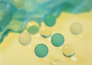 ガチャガチャの森：多彩なコレクションと楽しい体験が魅力の玩具店